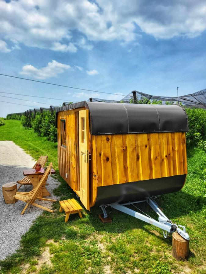 Unique Wooden Holiday House In Nature Lukovica pri Domzalah Экстерьер фото
