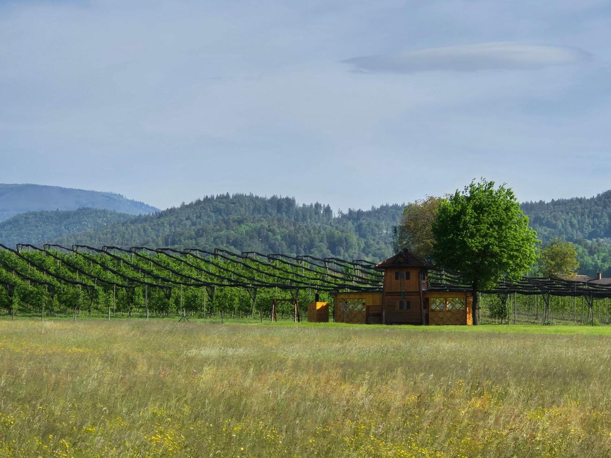 Unique Wooden Holiday House In Nature Lukovica pri Domzalah Экстерьер фото